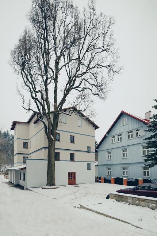 Pensjonat Limba Duszniki Zdrój Kültér fotó